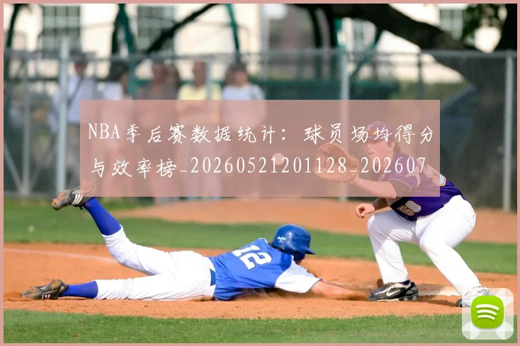NBA季后赛数据统计：球员场均得分与效率榜_20260521201128_20260702164322