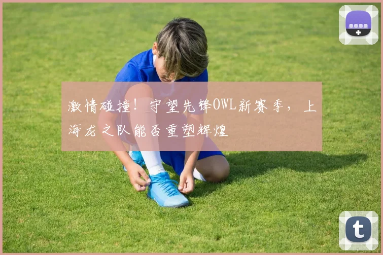 激情碰撞！守望先锋OWL新赛季，上海龙之队能否重塑辉煌