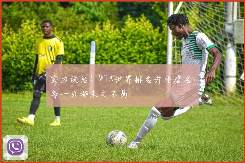实力说话！WTA世界排名并非虚名，每一分都来之不易