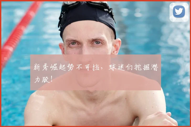 新秀崛起势不可挡，球迷们挖掘潜力股！