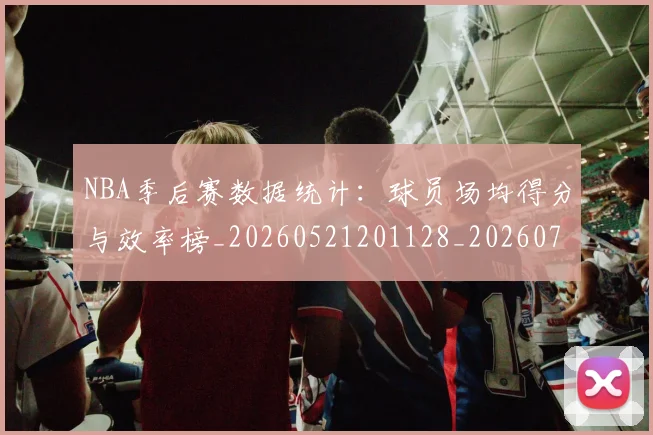 NBA季后赛数据统计：球员场均得分与效率榜_20260521201128_20260702164322